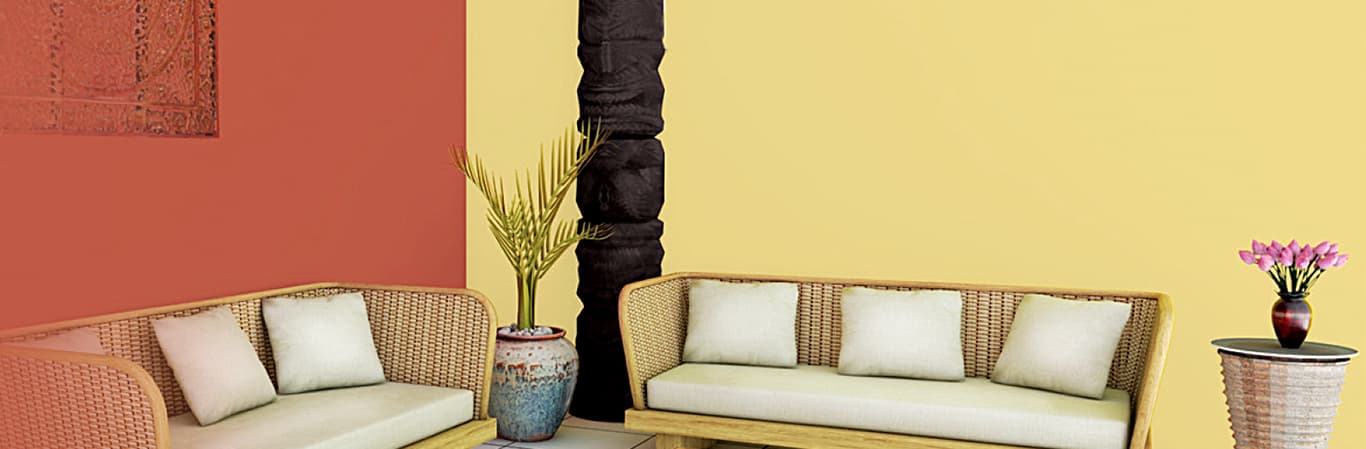 Tractor Emusion Shyne