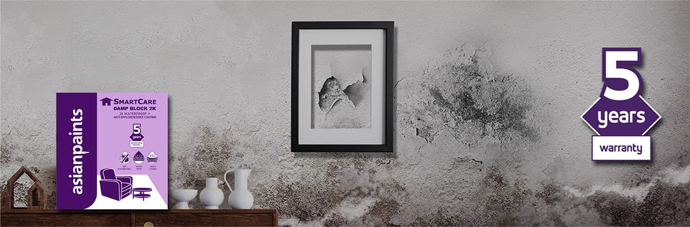 SmartCare Damp Block 2K